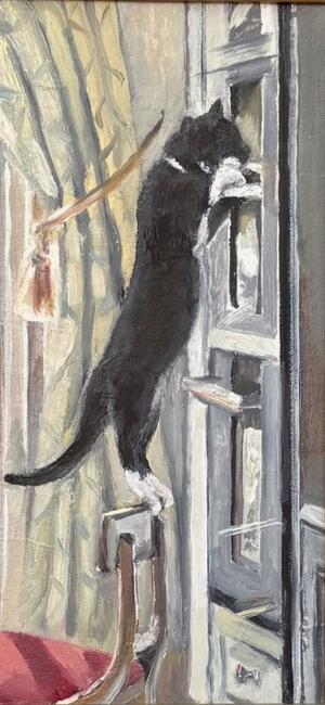 curiosity ......