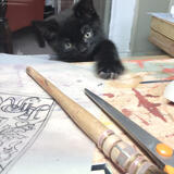 Studio mouser and model.