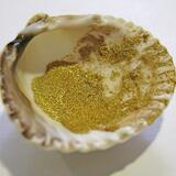 Shell Gold