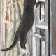 curiosity ......