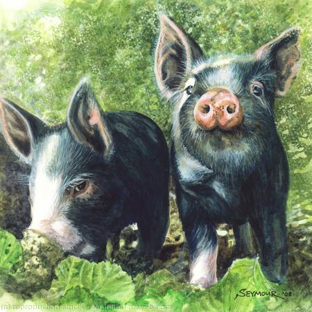 Two Berkshire Piglets