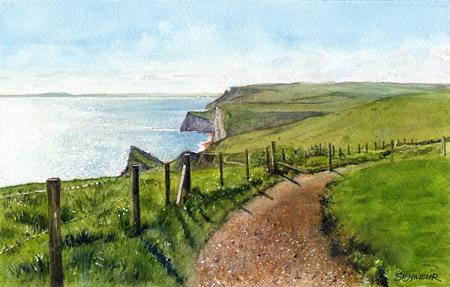 Summer Coastal Path