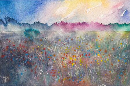 Misty Meadow