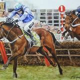 Over the fences - Cheltenham