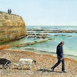 Low tide, Lyme Regis