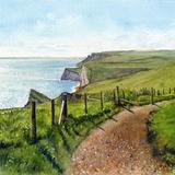 Summer Coastal Path