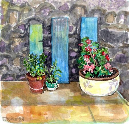 Flower Pots in the Village