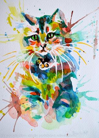 The Colourful Cat
