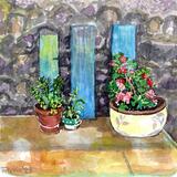 Flower Pots in the Village