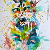 The Colourful Cat