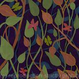 Butterflies at night