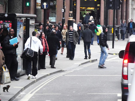 The adventures of Gagging the lamb and De-Ja-Vu the duck 