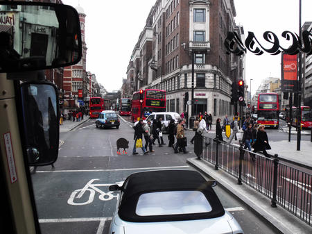 Sigh the pig feeling right at home