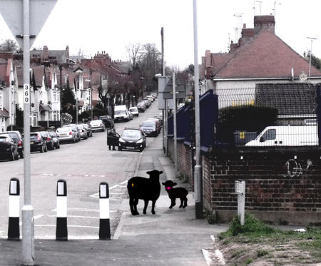 Whatya ****ing lookin at!?