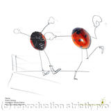 Niccolena Puncherarder