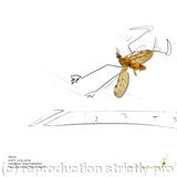 untitled-Daoeji0p0qi