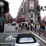 Sigh the pig feeling right at home