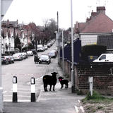 Whatya ****ing lookin at!?