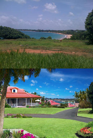 Illustration for prop developers brochure for Death in Paradise