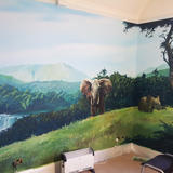 Jungle Themed Private mural commission