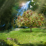 Good Omens - Garden and tree