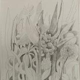 When too much is too much. Cornucopia