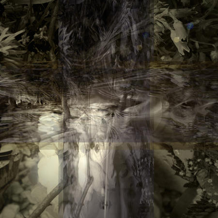 auspiscious nest in time