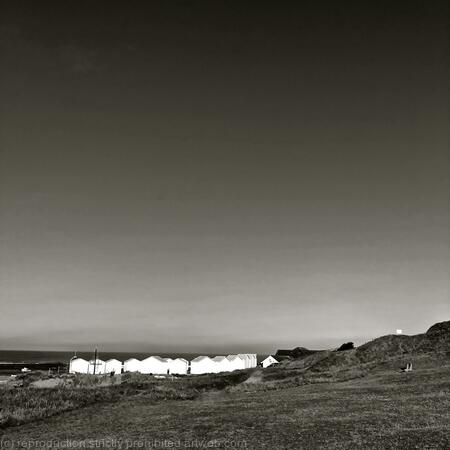 Once a Summer in Cornwall 