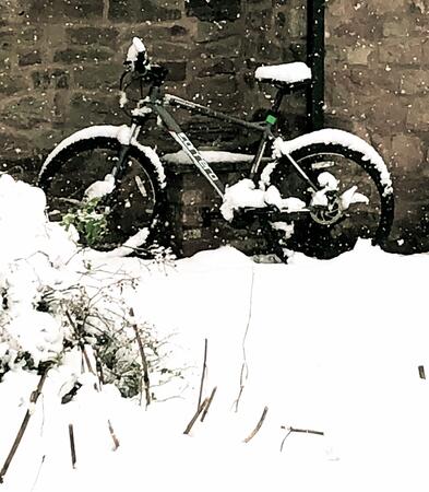 Snow Cycling 
