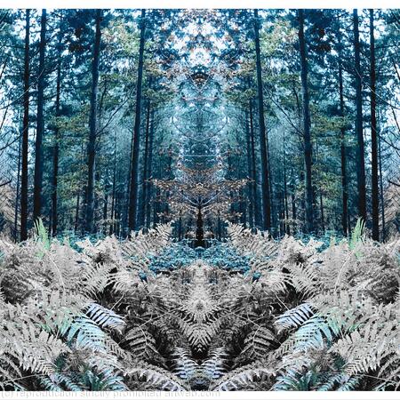 GARDEN  of Secret Leaves 