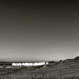 Once a Summer in Cornwall 