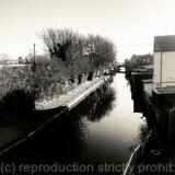 Canal side at Stourport 