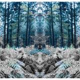 GARDEN  of Secret Leaves 