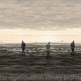 Walkers on the Sands