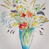 Eastern Pyrenees Wildflowers 