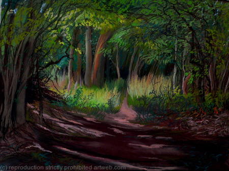 Woodland Scene