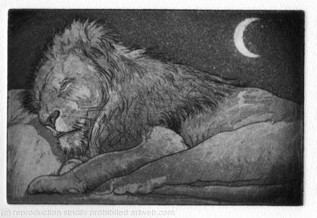 Sleeping lion