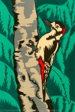 Woodpecker