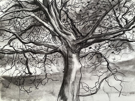 Winter tree 2