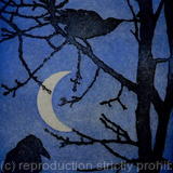 Crows by Moonlight