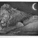 Sleeping lion