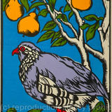 Partridge in a Pear Tree
