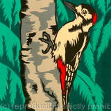 Woodpecker