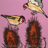 Goldfinches