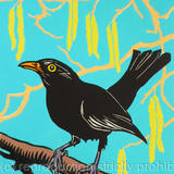Blackbird