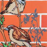 House sparrows