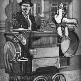 Organ Grinder