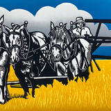 Harvest at Singleton