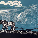 Ploughing at Singleton