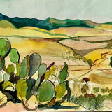 Mexican landscape